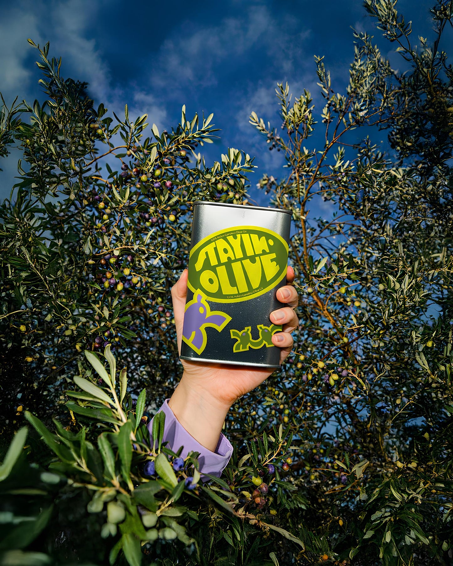 Stayin' Olive- 100% Monocultivar Coratina EVO (1L)